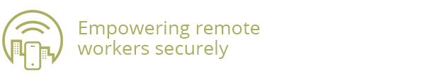 flexible-remote-access