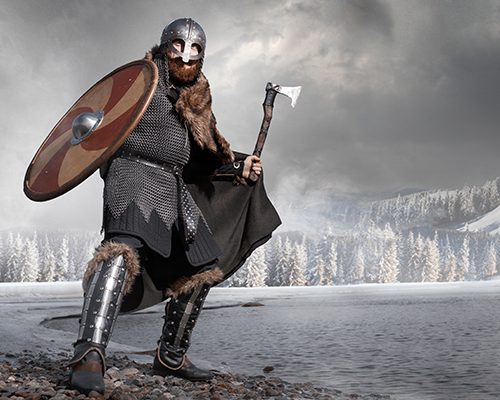 cropped-1the-vikings-are-here-to-protect-us-clavister-600x400.jpg