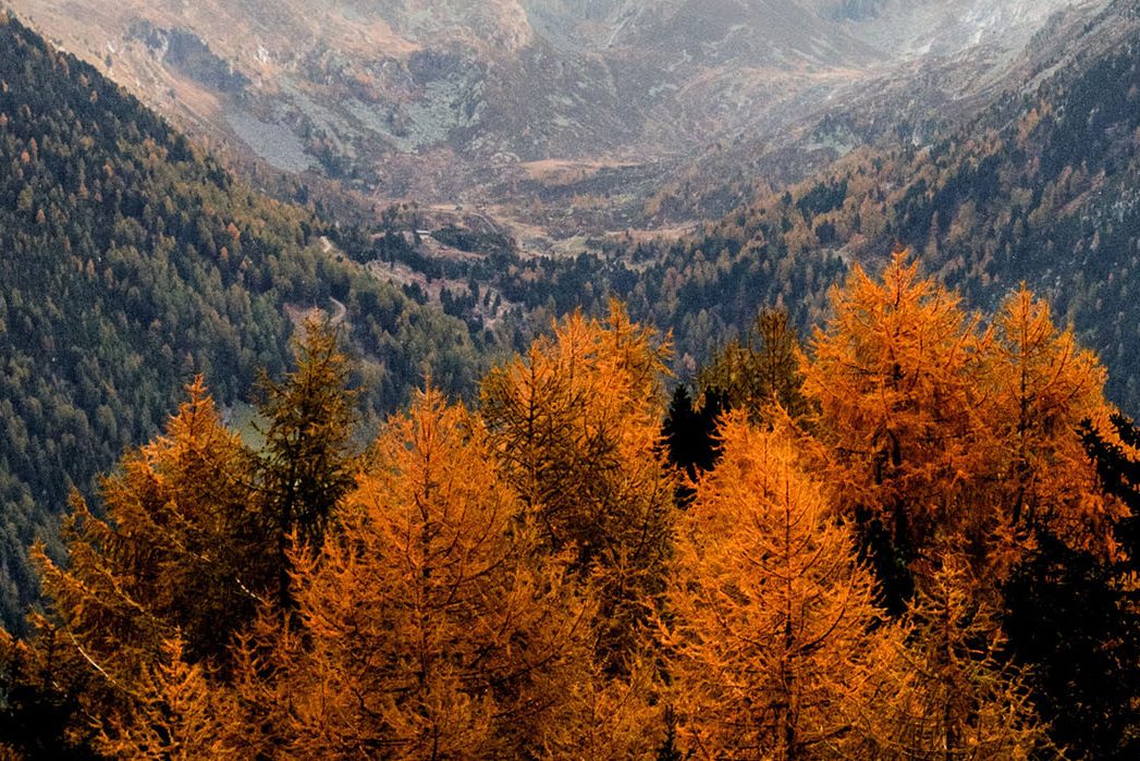 cropped-clavister-swedish-autumn-1920x700-hero-1.jpg